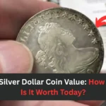 1802 Silver Dollar Coin Value: How Much Is It Worth Today?