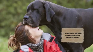 9 Affectionate and Loyal Dog Breeds Ideal for Emotional Support